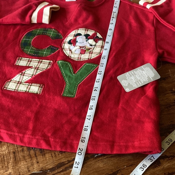 NWT Disney Parks Boxy Holiday Sweatshirt - Picture 11 of 12